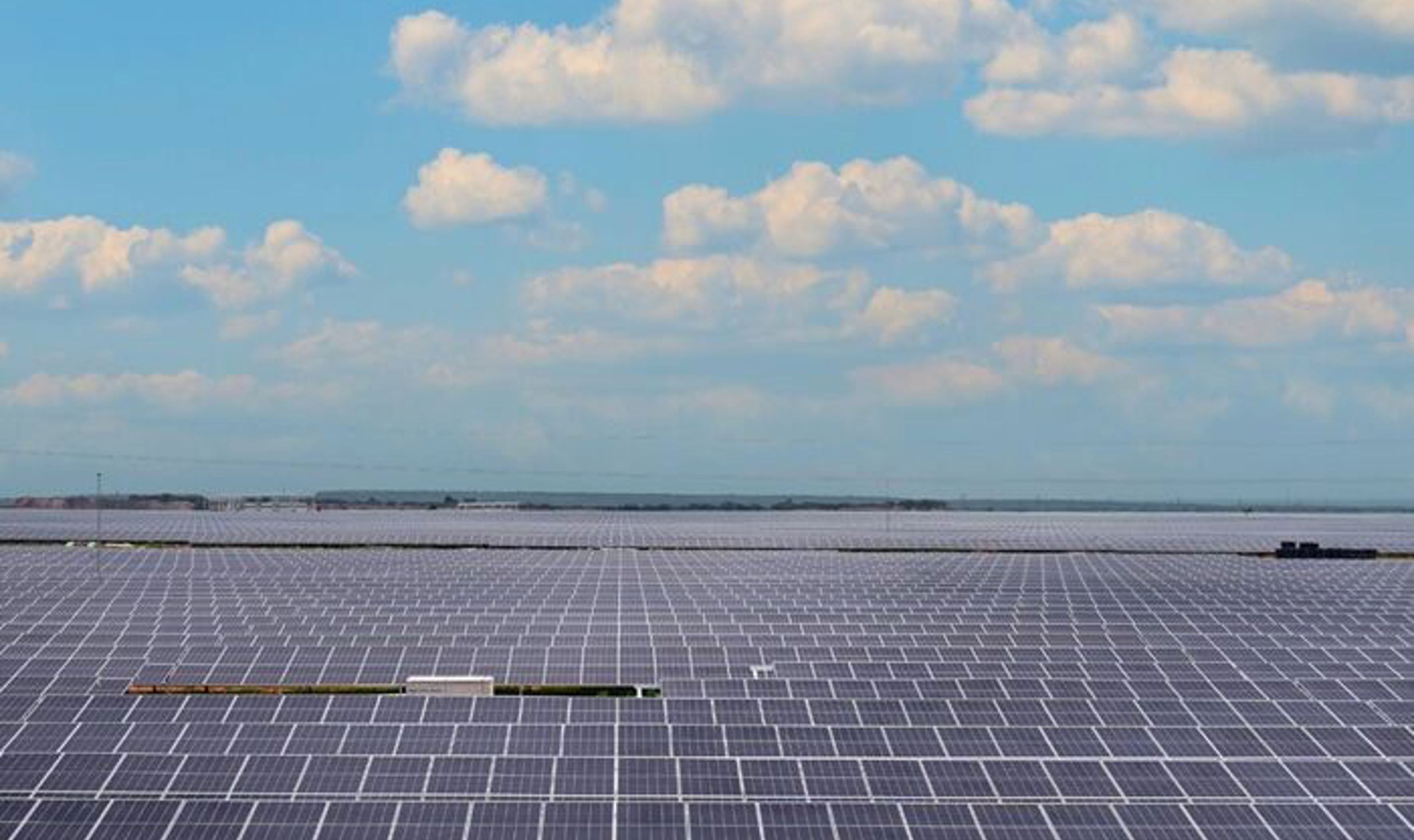 Solar panel field.jpg