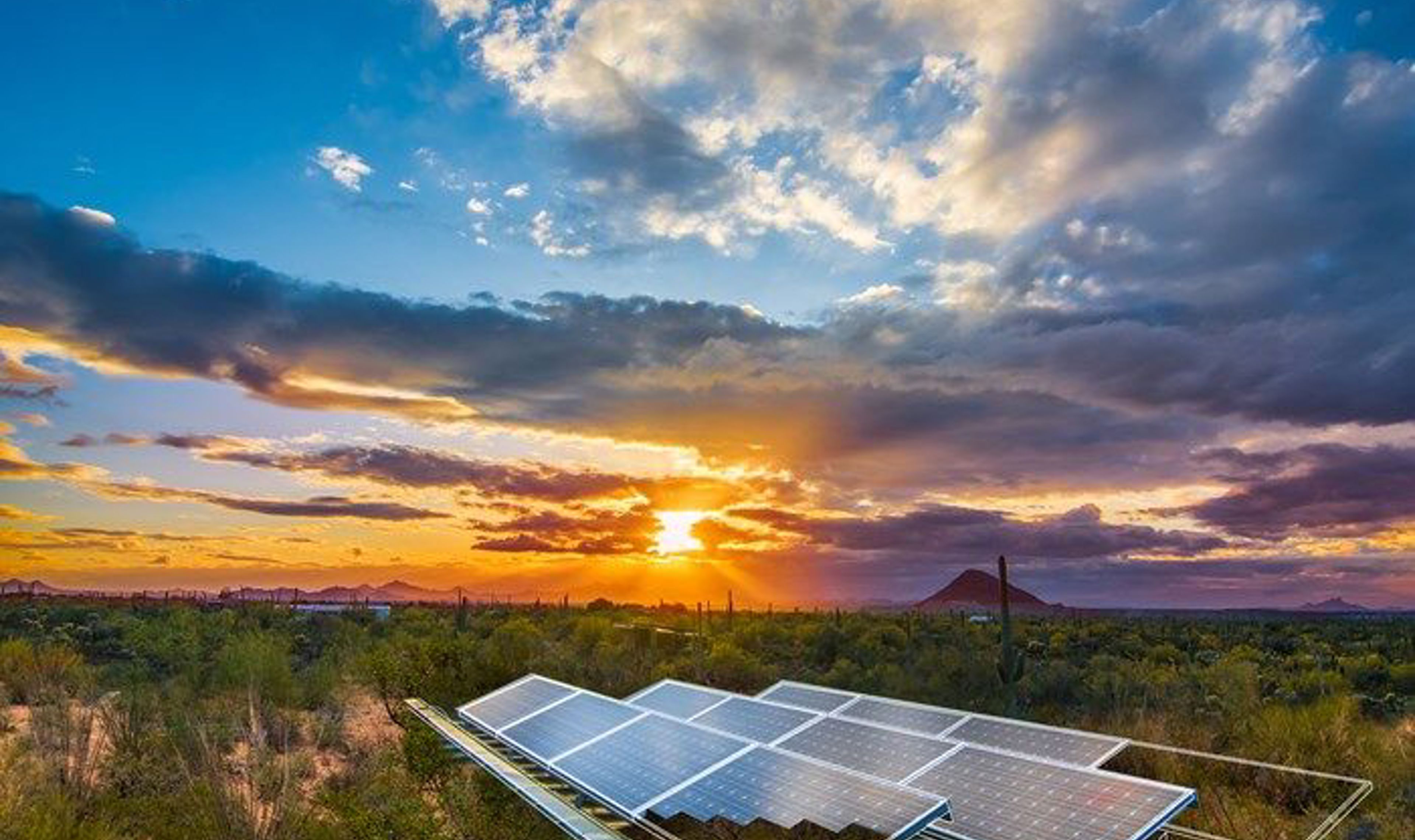 Solar panels in the sun.jpg