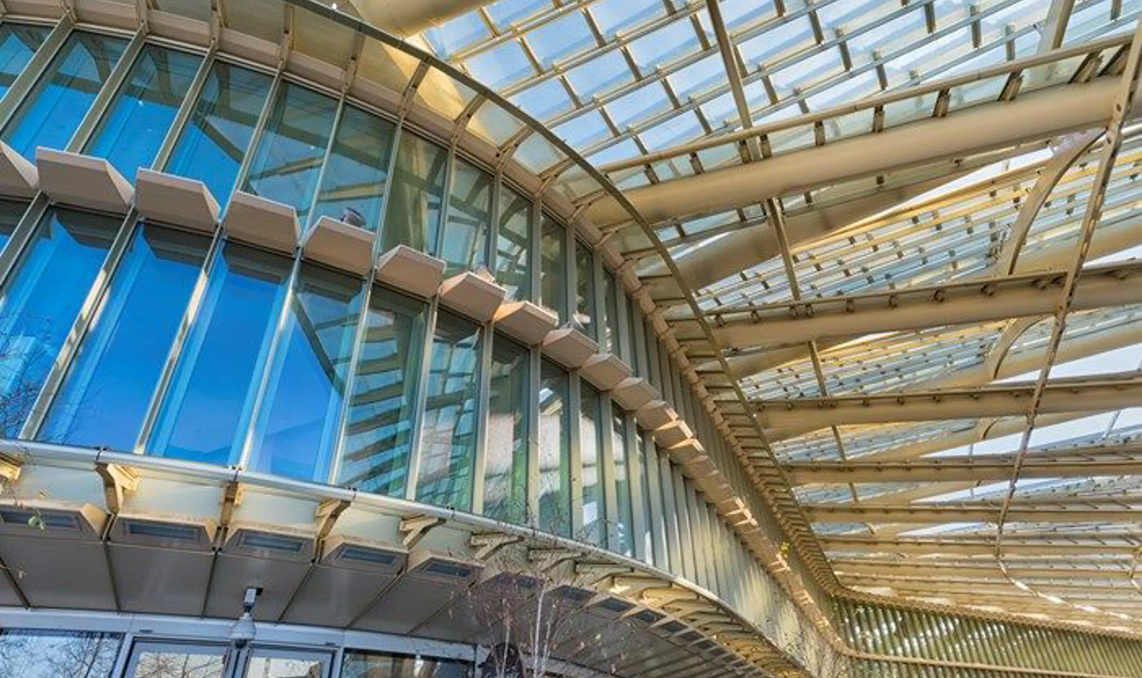 Inside glass building .jpg