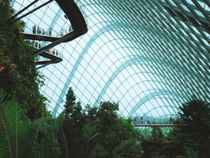Greenhouse.jpg