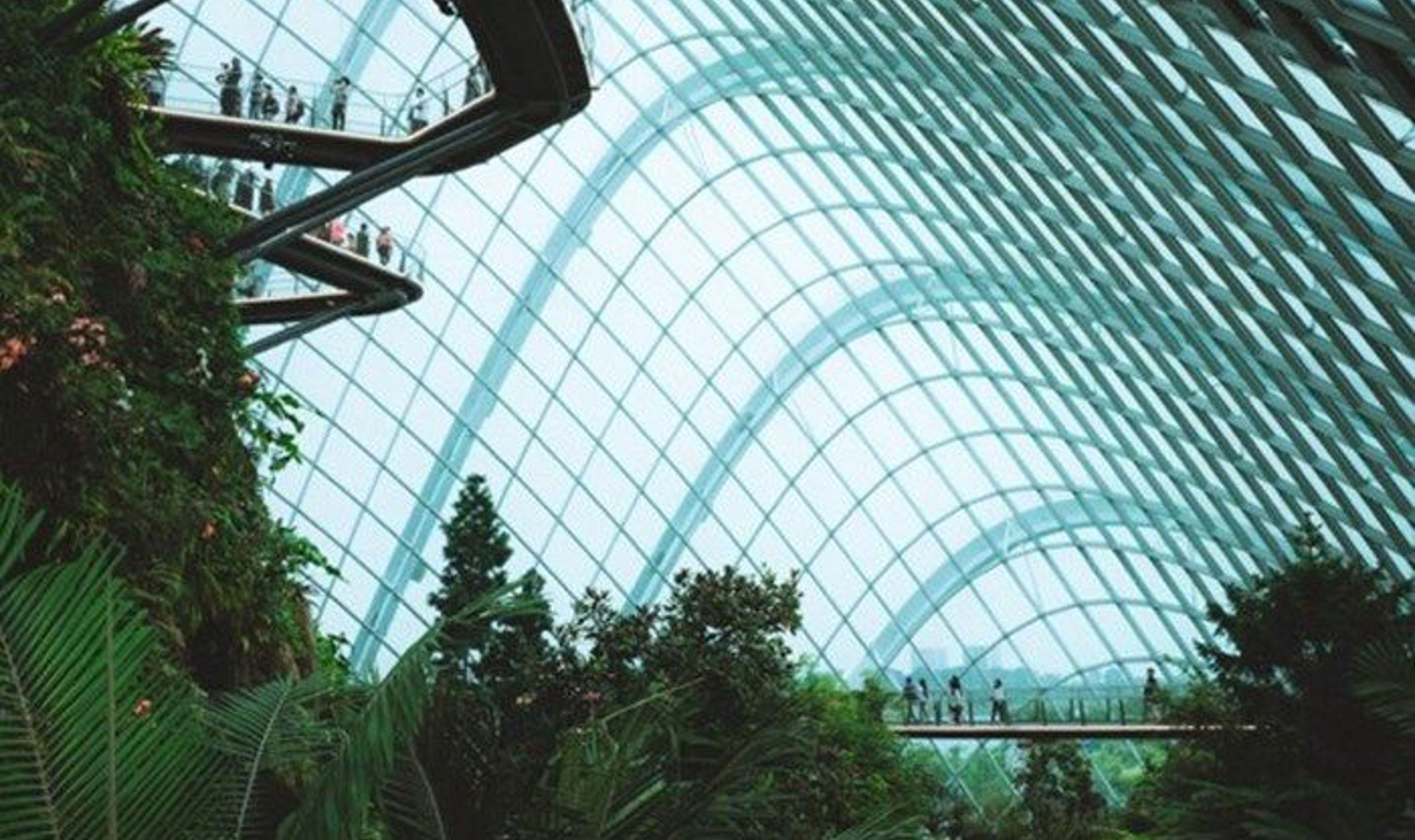 Greenhouse.jpg