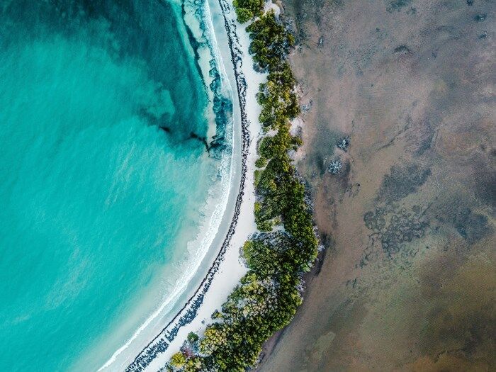Birds eye view of beach.jpg
