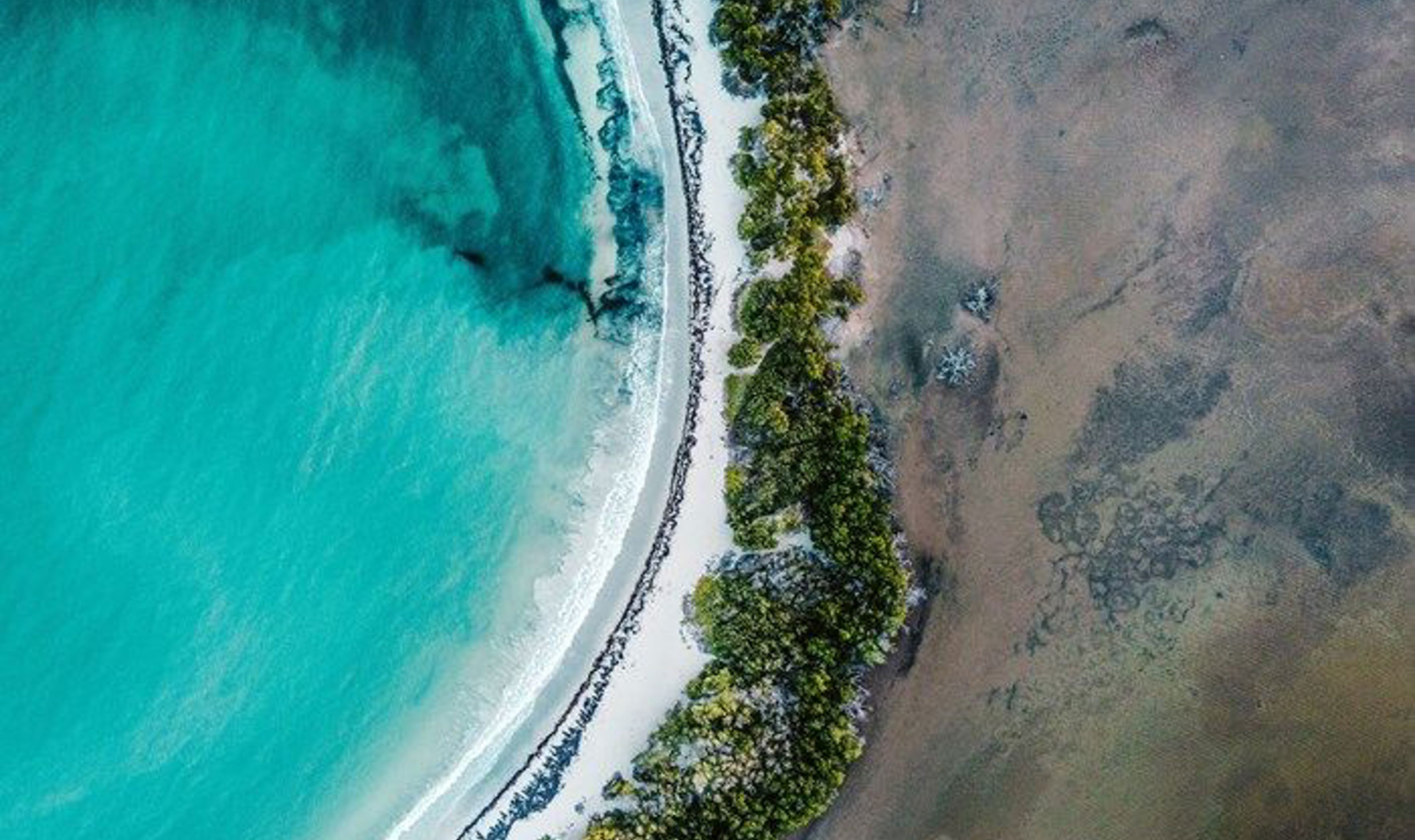 Birds eye view of beach.jpg
