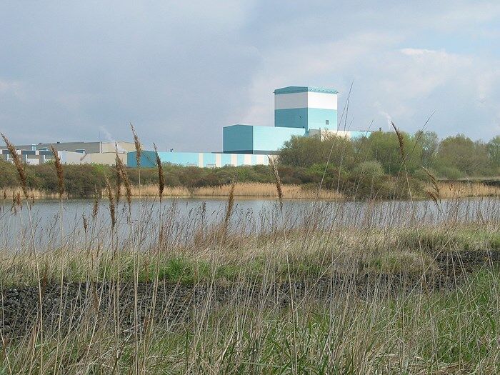 Factory in the reeds .jpg