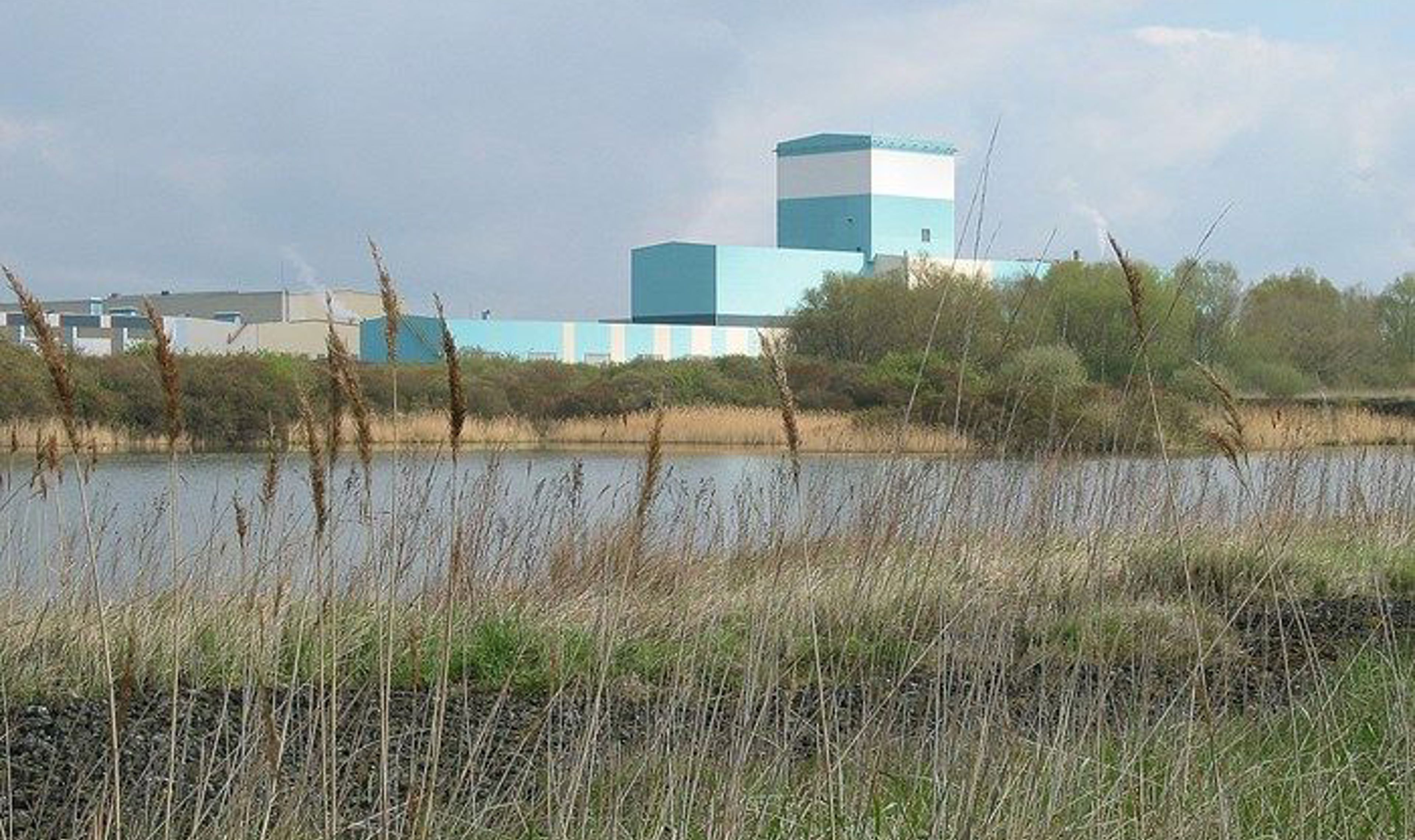 Factory in the reeds .jpg