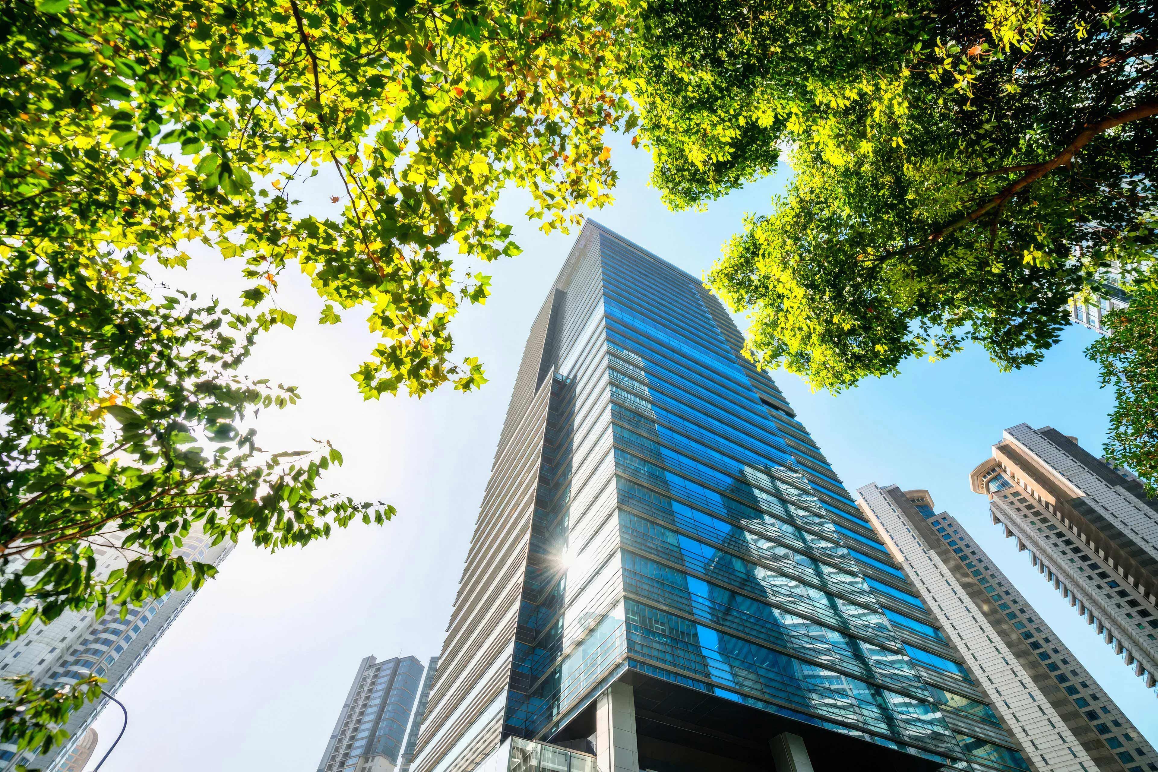 office-building.jpg