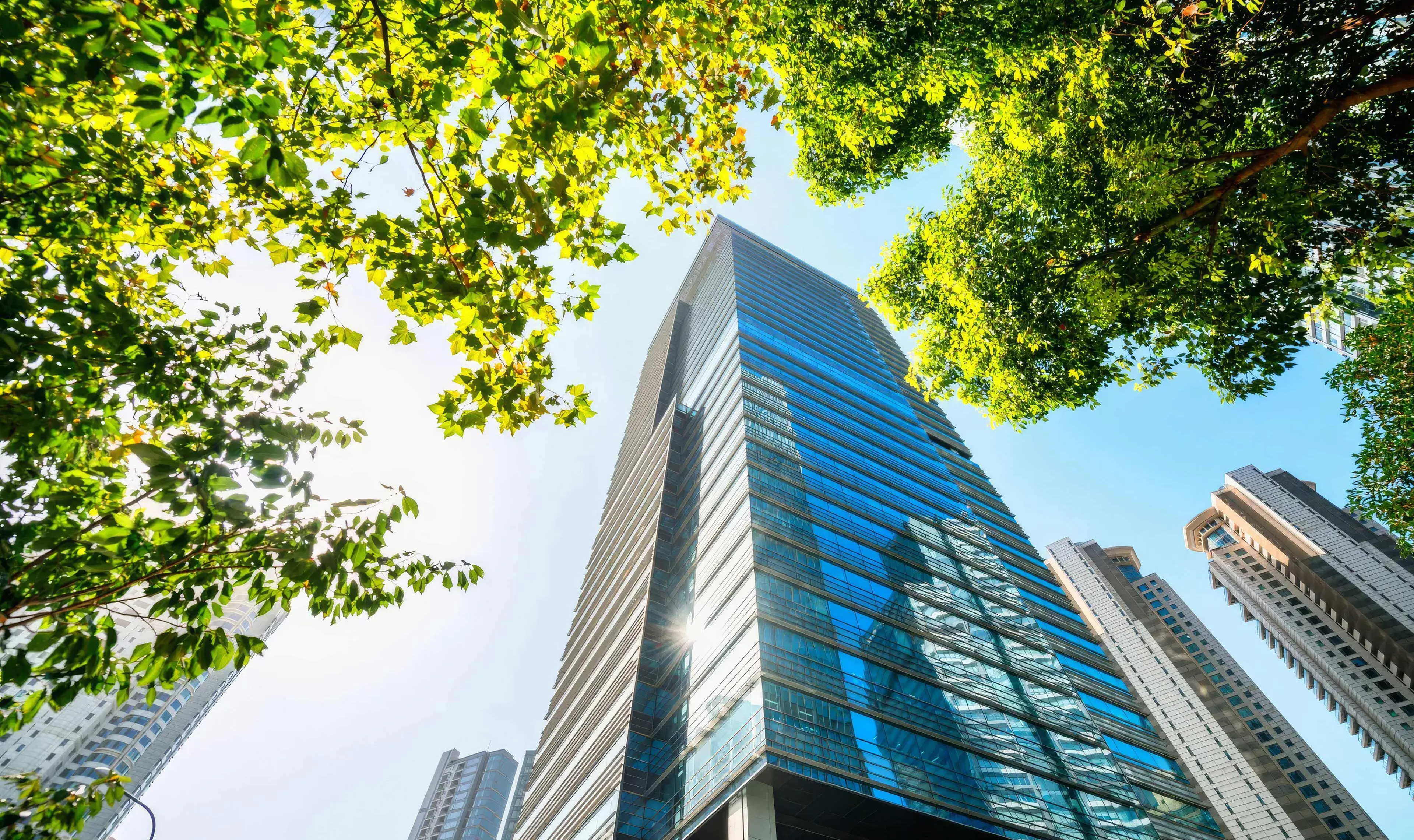 office-building.jpg