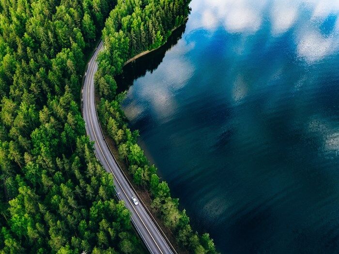 Trees next to lake .jpeg