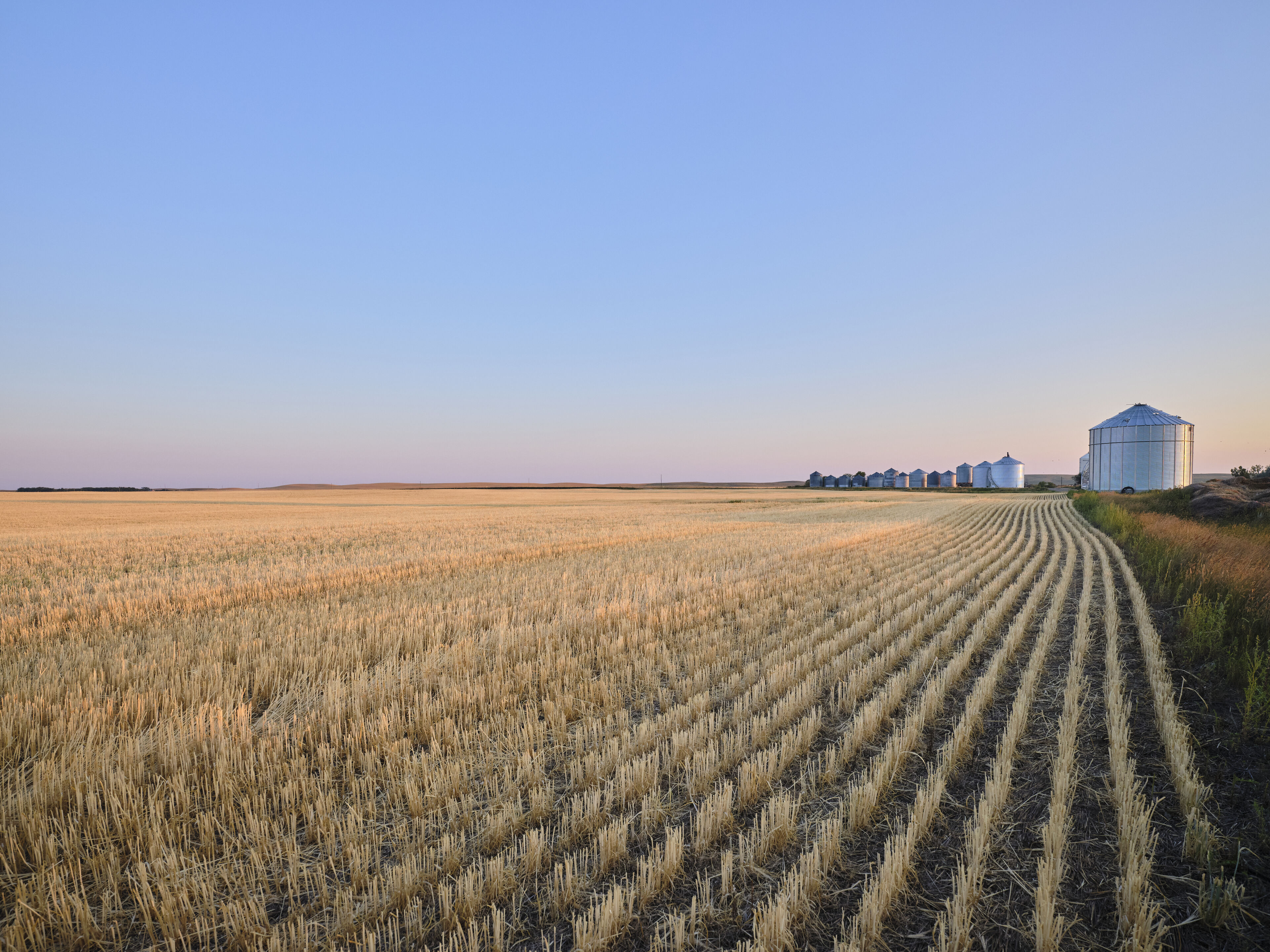 Field with grain silos in the distance