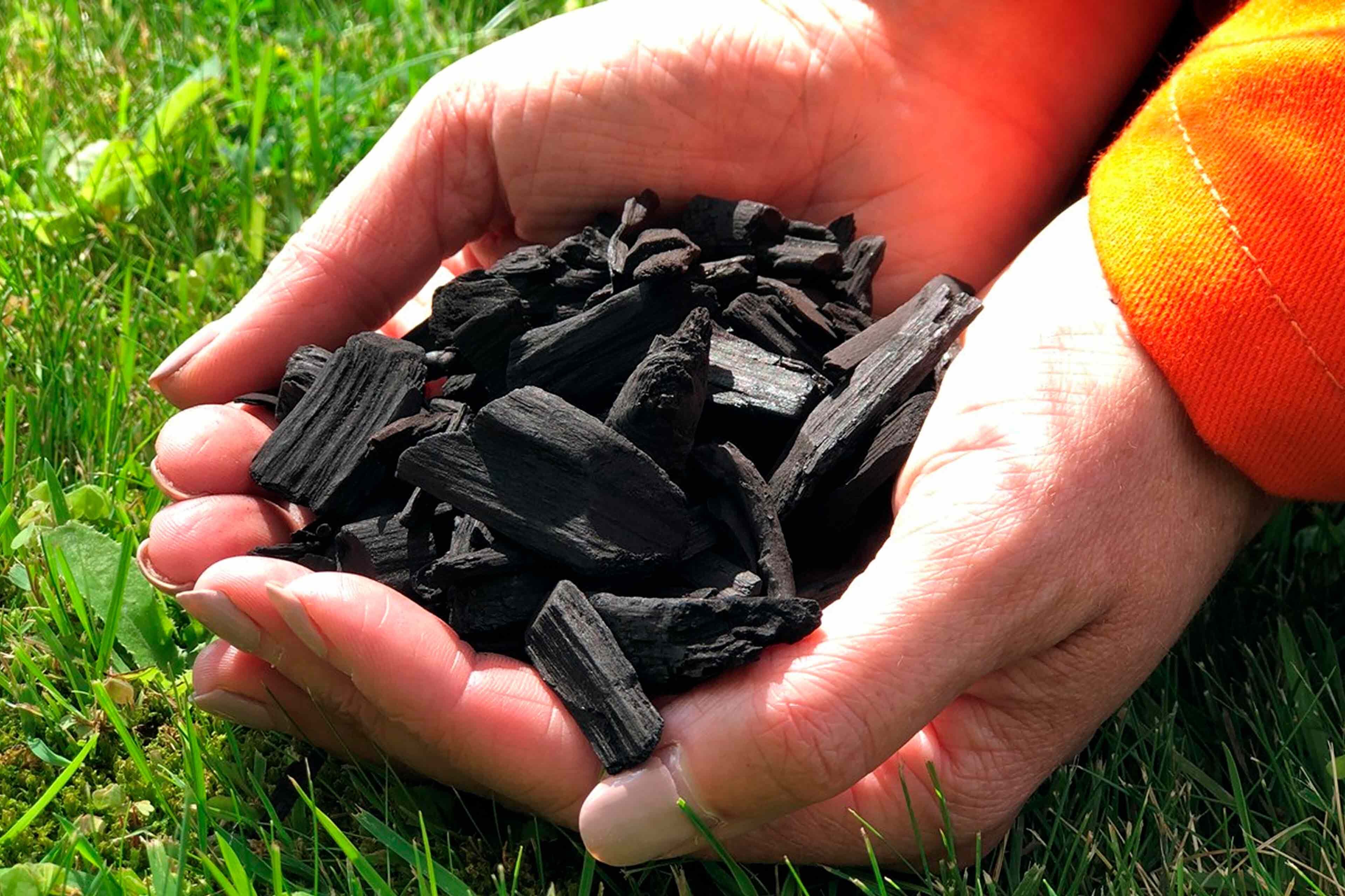 Biochar_ArcelorMittal.jpg