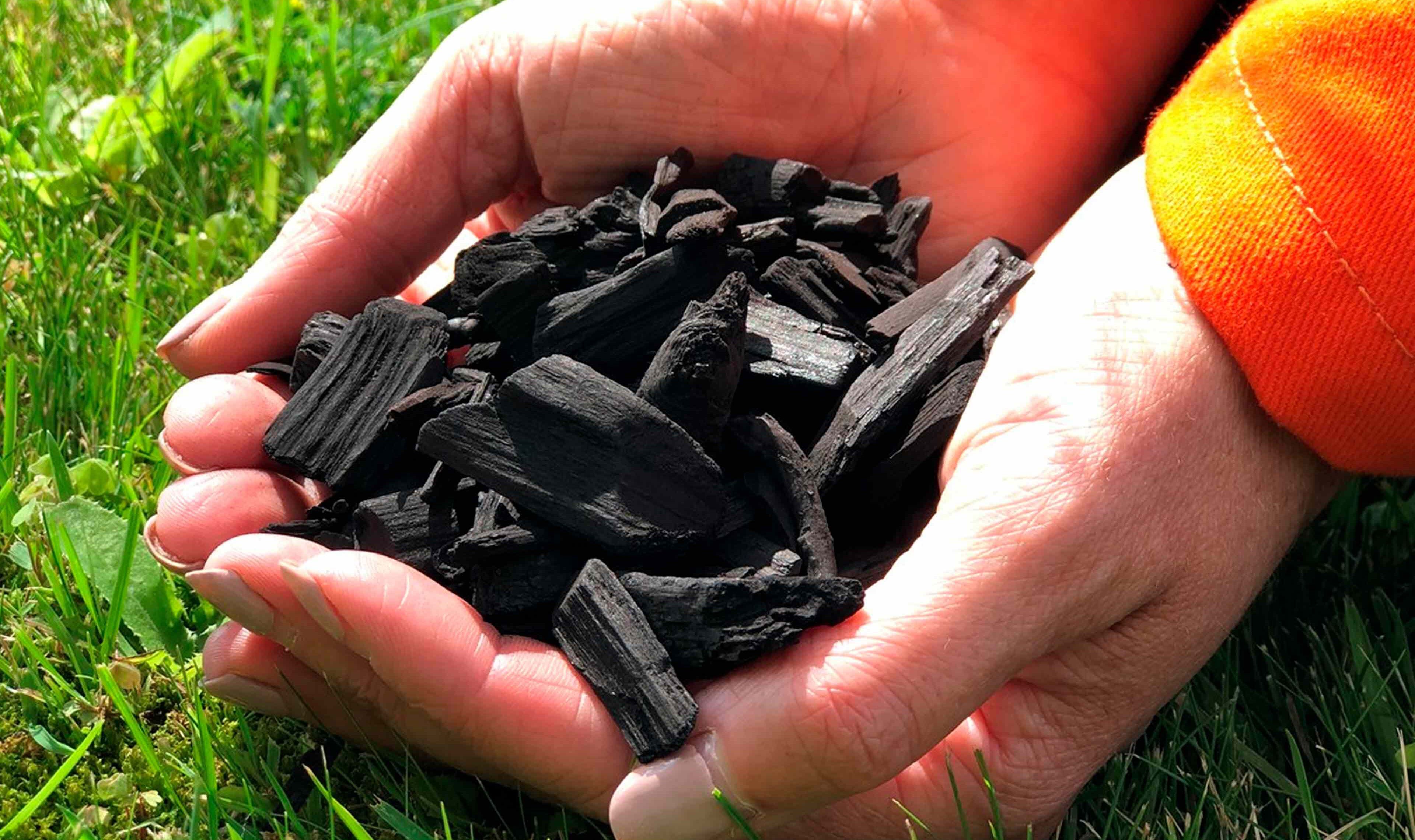 Biochar_ArcelorMittal.jpg