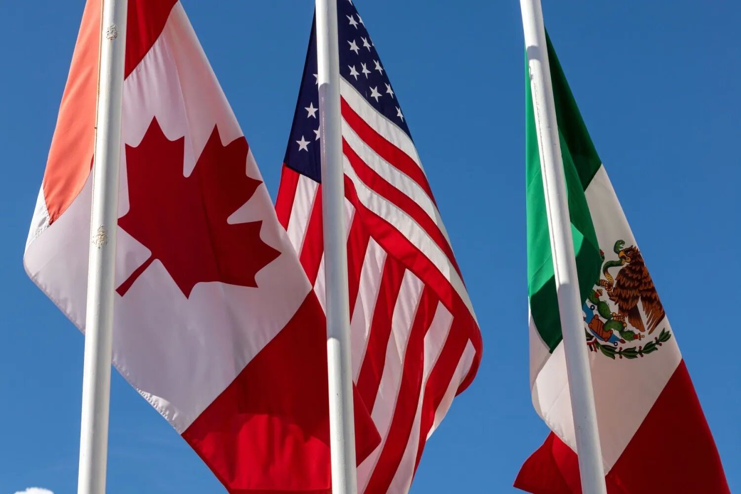 flags.jpg