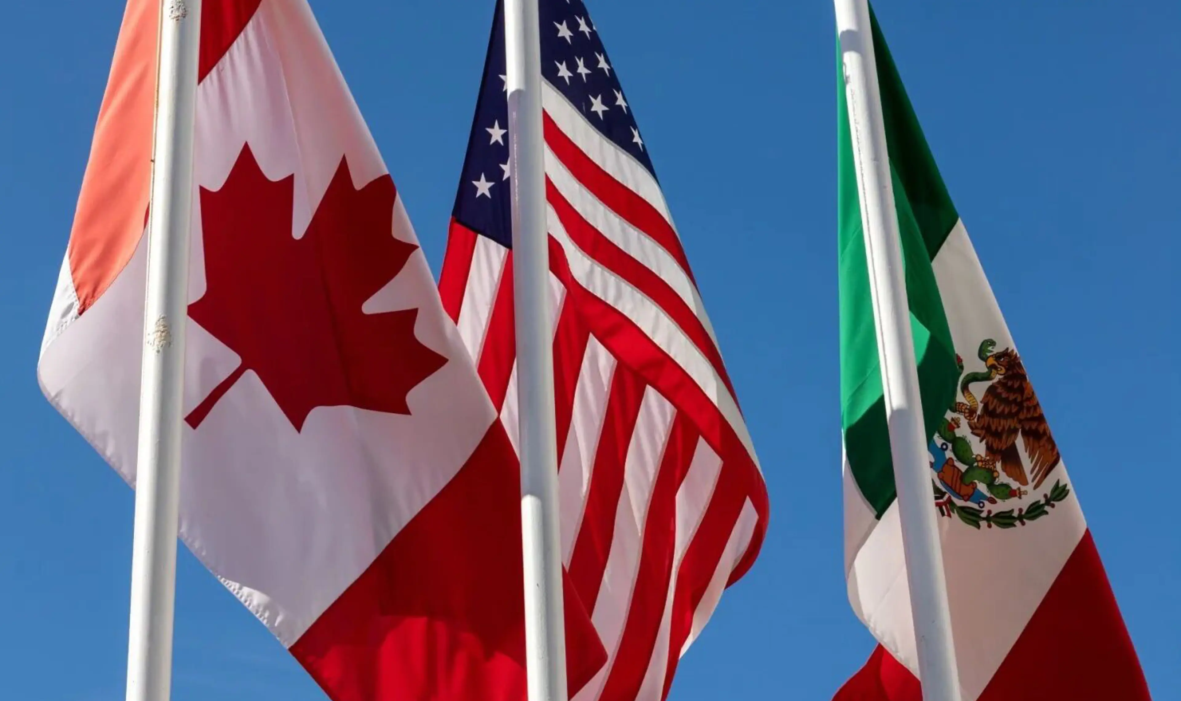 flags.jpg