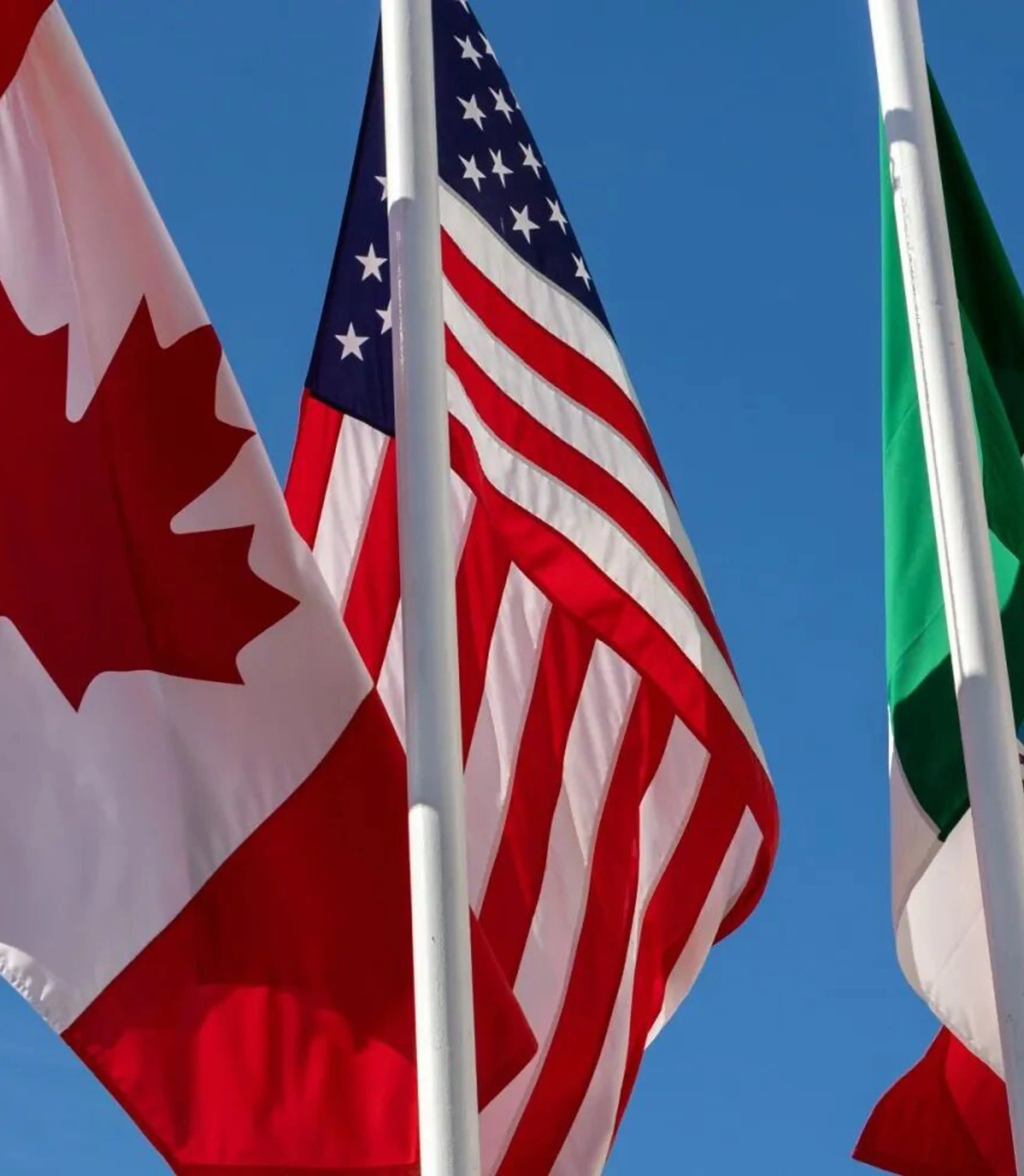 flags.jpg
